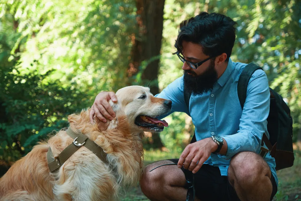 Compassionate veterinarian providing end-of-life care and support for pet and owner
