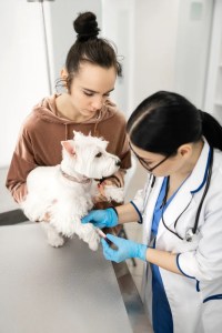Services 1 pet-vaccination