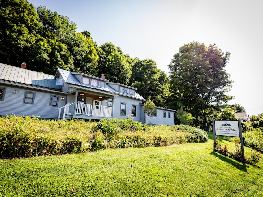 contact-richmond-animal-hospital
